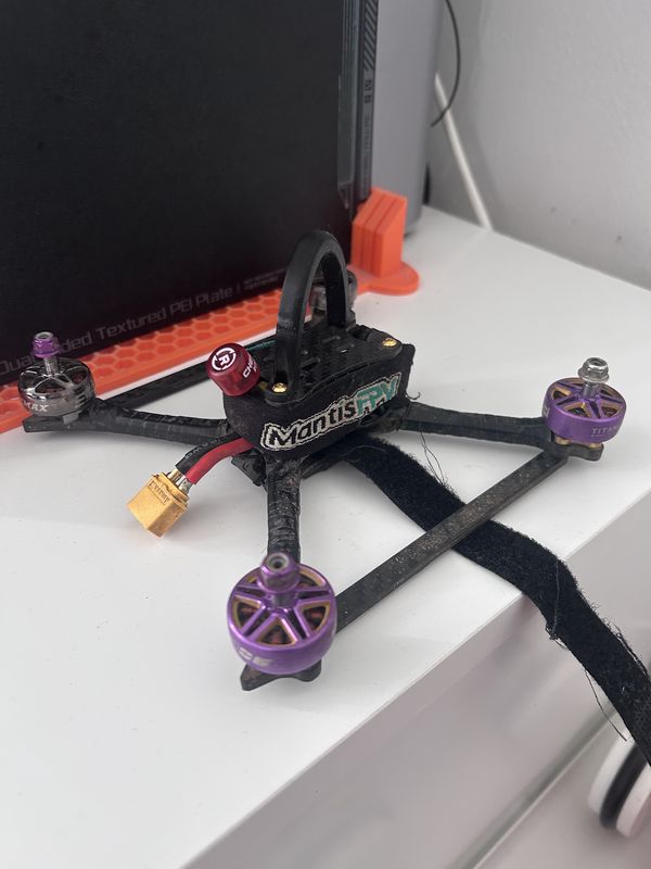 D1NGO's build